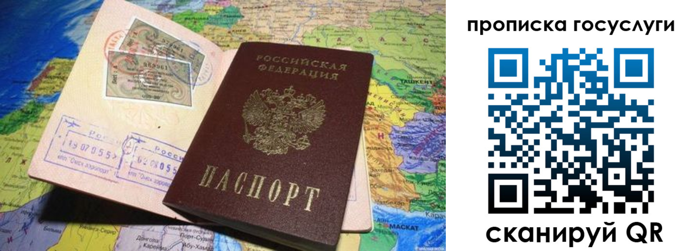прописка законно в Электрогорске